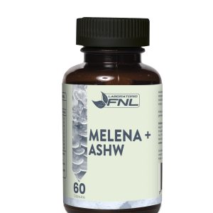 Melena de Leon+Ashwagandha 60 cápsulas